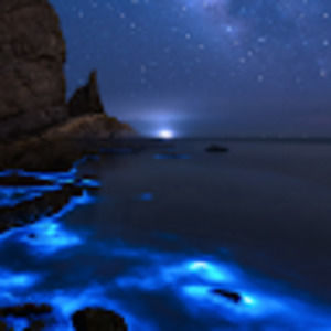 Meet your Posher, Nelson